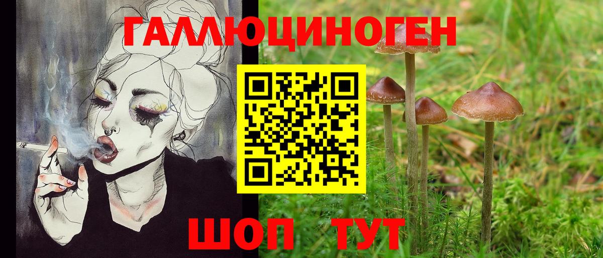 Псилоцибиновые грибы GOLDEN TEACHER  Вход с VPN  Карпинск 
